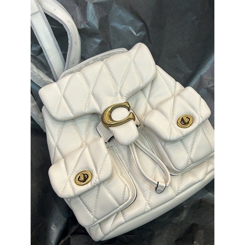 Cowhide Quilted Chain-Strap Shoulder Bag in Classic — interior view